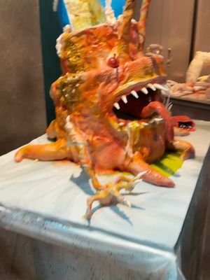 Image post by @practicalpeculiarities on Instagram