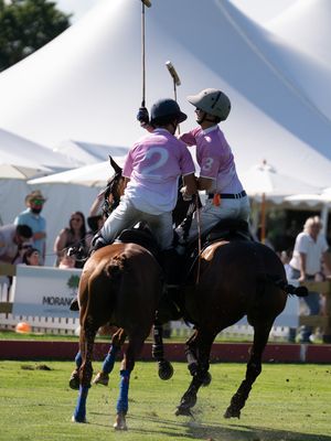 Image post by @greenwichpoloclub on Instagram