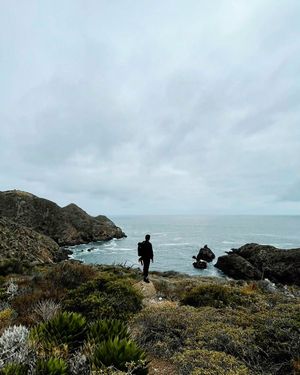 Image post by @oscarq_hdz on Instagram