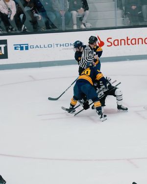 Image post by @merrimack_mih on Instagram