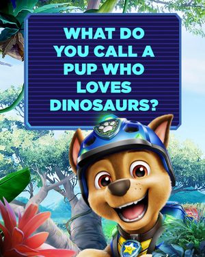 Image post by @pawpatrol on Instagram