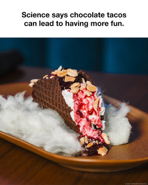 Image post by @wonderversechicago on Instagram