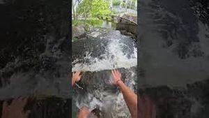 Video post by @dji on YouTube
