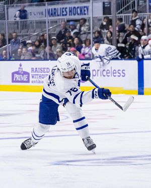 Image post by @torontomarlies on Instagram