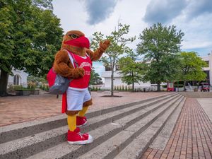 Image post by @rockyredhawk on Instagram