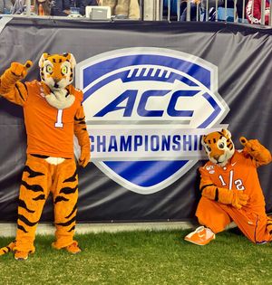 Image post by @thetiger_cu on Instagram