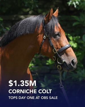 Image post by @coolmoreamerica on Instagram