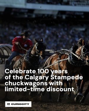Image post by @curiocitycalgary on Instagram