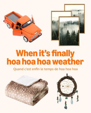 Image post by @amazonca on Instagram