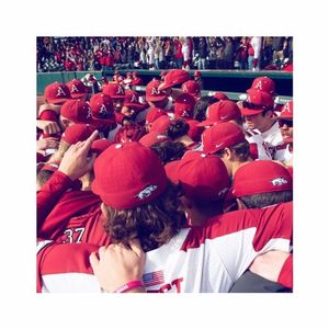 Image post by @razorbackbsb on Instagram