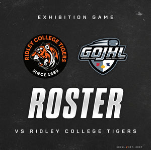 Image post by @GOHLHockey on Twitter