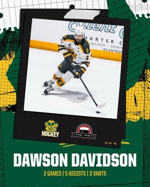 Image post by @bearsandpandas on Instagram