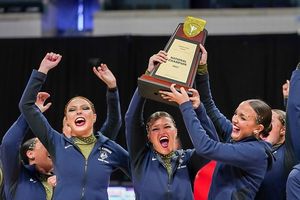 Image post by @saubees on Instagram