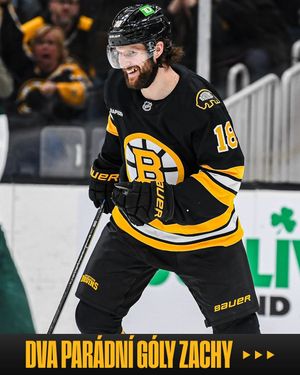 Image post by @nhlcesko on Instagram