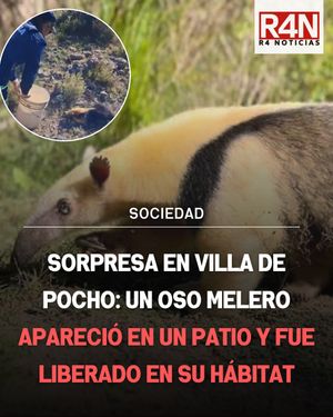 Image post by @r4noticias on Instagram