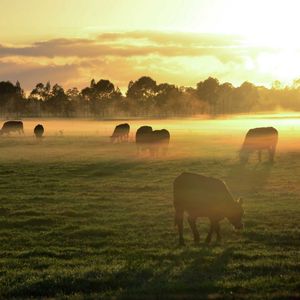 Image post by @arladairyuk on Instagram