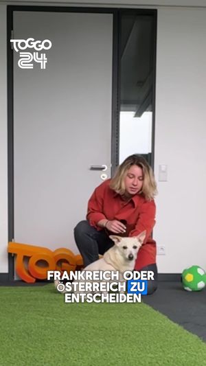 Video post by @toggo on TikTok