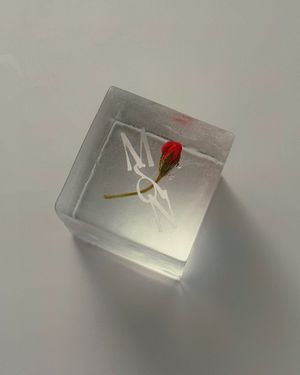 Image post by @discocubes on Instagram