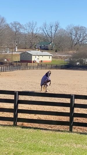 Video post by @clairecumbee on Instagram