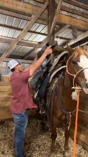 Video post by @Rodeo Girlies Club on Facebook