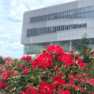 Image post by @ncstate on Instagram