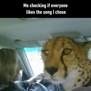 Image post by @9gag on Instagram