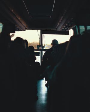 Image post by @mushlik on Instagram