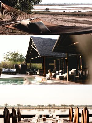 Image post by @chiawasafaris on Instagram