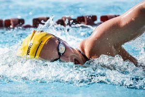 Image post by @sundevilswimdive on Instagram