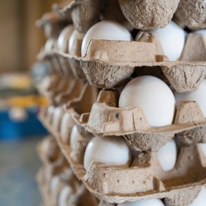 Image post by @txextension on Instagram
