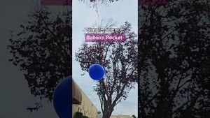 Video post by @kiwico on YouTube