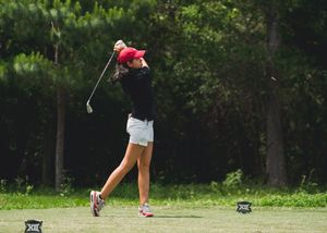 Image post by @CycloneWGOLF on Twitter