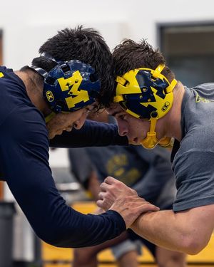 Image post by @ncaawrestling on Instagram