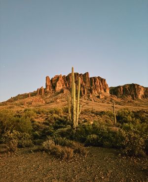 Image post by @visitphoenix on Instagram