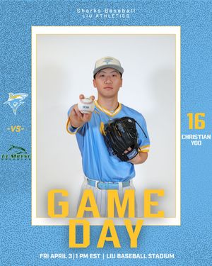 Image post by @liubaseball on Instagram