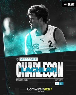 Image post by @pafc on Instagram