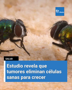 Image post by @infodiariord on Instagram