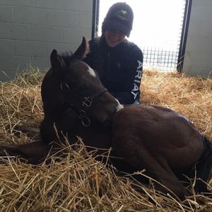 Image post by @spendthriftfarm on Instagram