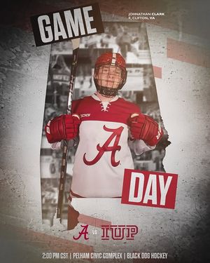 Image post by @alabamahockey on Instagram