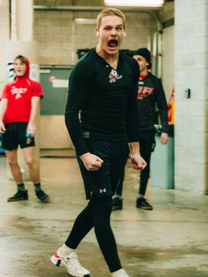 Image post by @ohlicedogs on Instagram