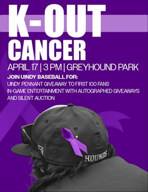 Image post by @uindybaseball on Instagram