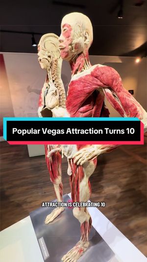 Video post by @vegasstarfish on TikTok