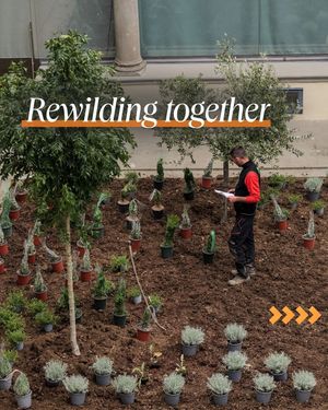 Image post by @rewild on Instagram