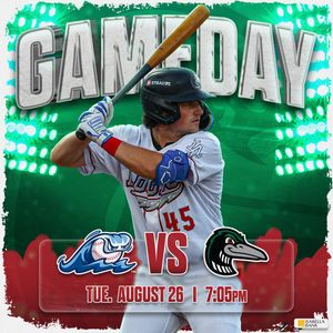 Image post by @greatlakesloons on Twitter