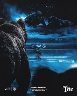 Image post by @panthers on Instagram
