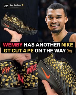 Image post by @soleretriever on Instagram