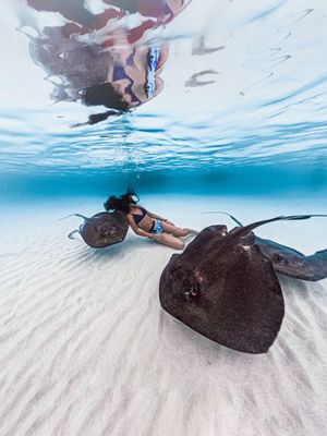 Image post by @gopro on Instagram