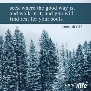 Image post by @familylifenypa on Instagram