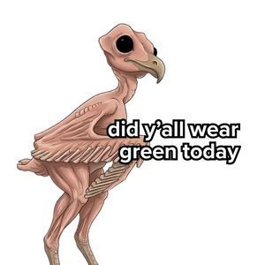 Image post by @duolingo on Instagram