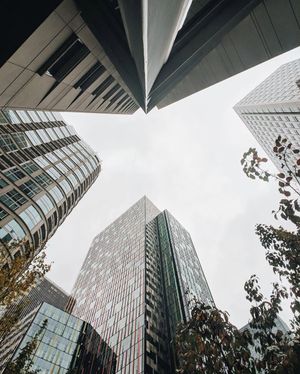 Image post by @moment on Instagram